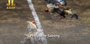 Philippine Sabong