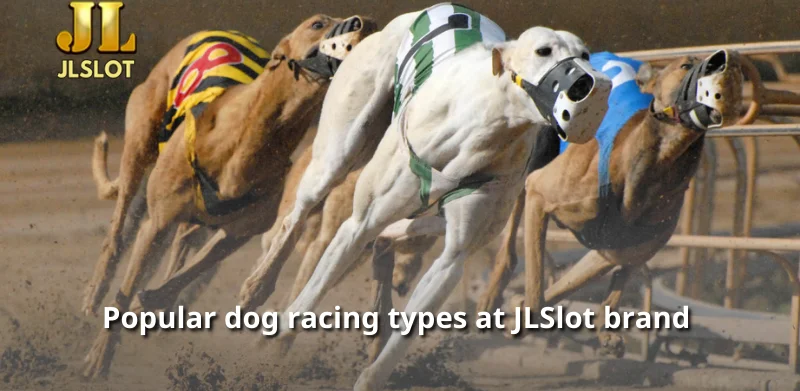 Popular dog racing types at JLSlot brand 