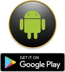 Get it on the app on google play