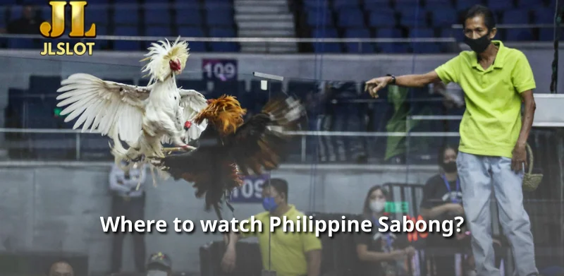 Where to watch Philippine Sabong?